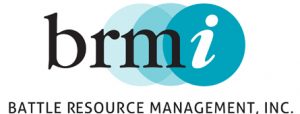 BRMI Logo