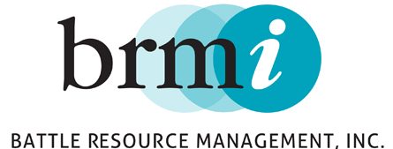 BRMI Logo