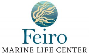 Feiro Marine Life Center logo by Laurel Black Design