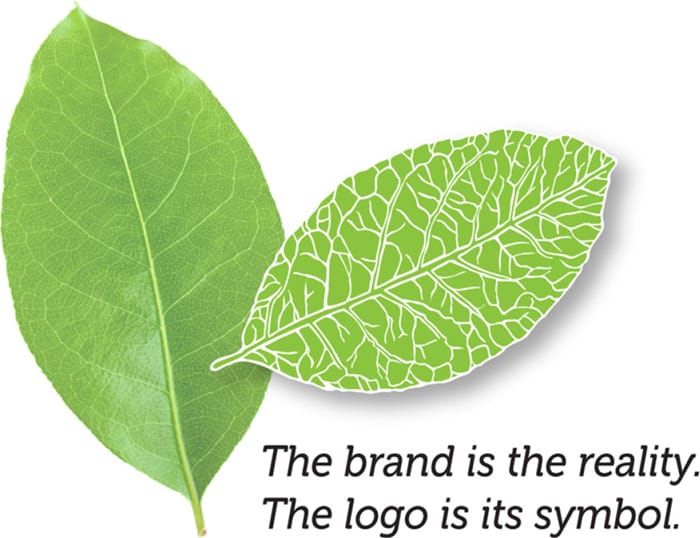 Brand before logo