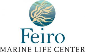 Feiro Marine Line Center award-winning logo by Laurel Black Design