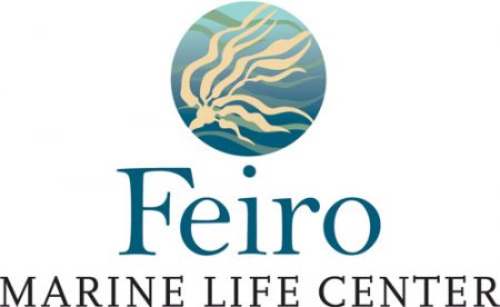 Feiro Marine Life Center award-winning logo by Laurel Black Design