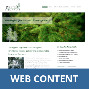 Web Content